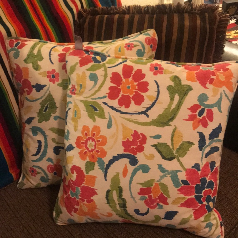 2 outside/indoor pillows